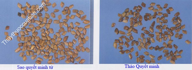 H&igrave;nh ảnh vị thuốc thảo quyết minh