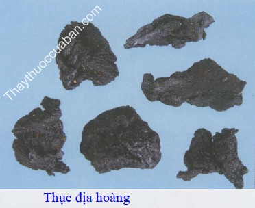 Thục địa ho&agrave;ng