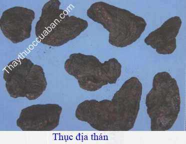 Thục địa th&aacute;n
