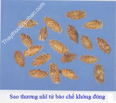 Thương nhĩ tử b&agrave;o chế kh&ocirc;ng đ&uacute;ng c&aacute;ch bị hỏng