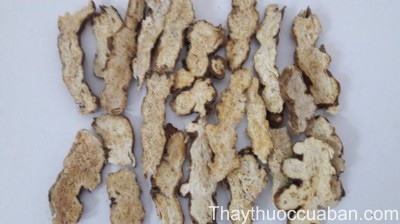 H&igrave;nh ảnh vị thuốc thương truật