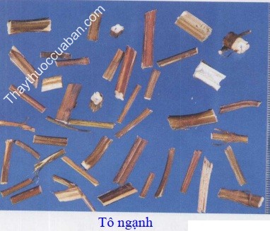H&igrave;nh ảnh t&ocirc; ngạnh