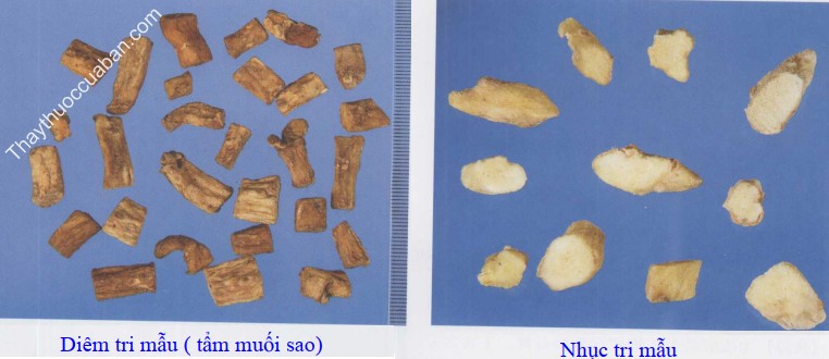 H&igrave;nh ảnh vị thuốc tri mẫu sao