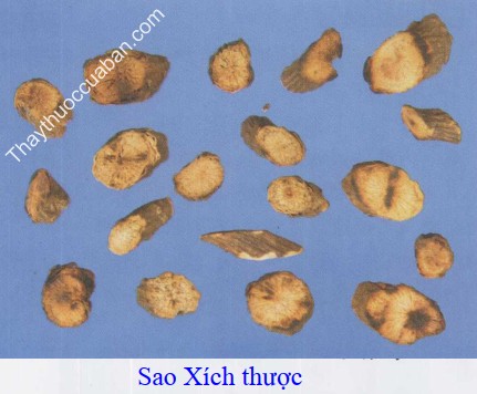H&igrave;nh ảnh vị thuốc x&iacute;ch thược sao