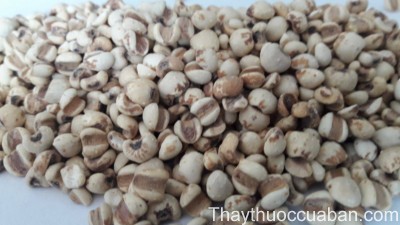 H&igrave;nh ảnh vị &yacute; dĩ